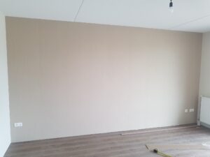 renovlies